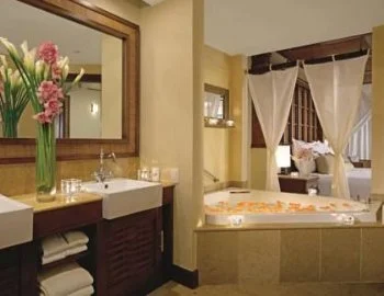 Foto del jacuzzi en la Deluxe Premium con cama extragrande y vistas al jardin y al entorno tropical.