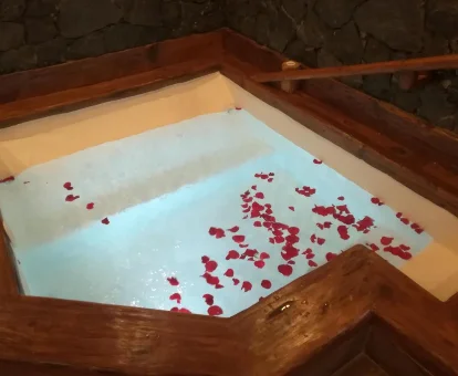 jacuzzi privado de la casa