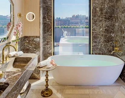 Suite del lujo del hotel