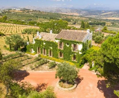 Hermoso hotel rural en un tranquilo entorno natural rodeado de veget+.