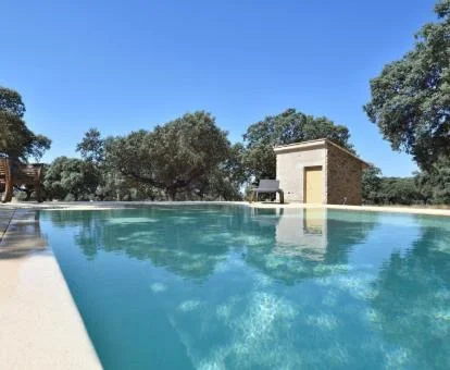 Gran piscina exterior rodeada de naturaleza del establecimiento.