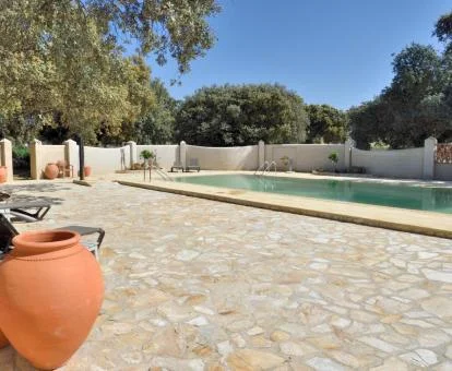 Amplia piscina exterior con solarium y rodeada de árboles de este alojamiento solo para adultos.