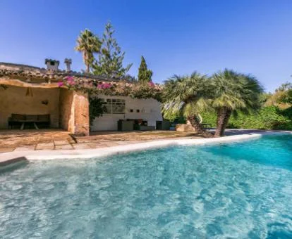 Bella piscina rodeada de vegetación de este tranquilo agroturismo.