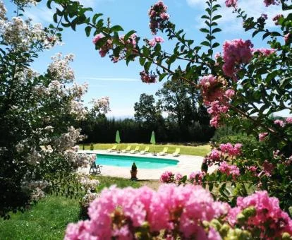 Bella zona exterior con piscina y jardín del hotel.