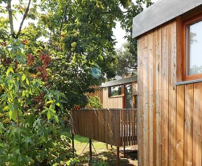 Una de las coquetas cabañas de madera elevadas de este alojamiento forestal.