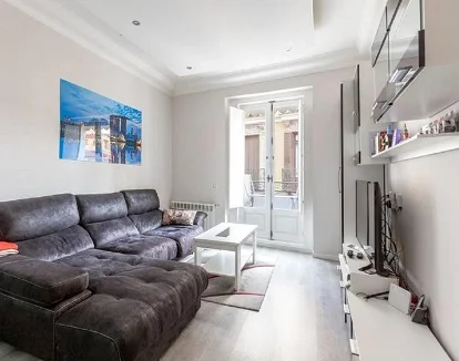 Detalle del salon del apartamento, muy elegante y bien decorado ideal para que sorprendas a tu pareja con un alojamiento que además tiene un jacuzzi junto a la cama