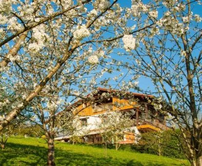 Hotel con encanto rodeado de preciosos jardines.