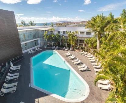 Piscina exterior de este hotel solo para adultos rodeada de palmeras y tumbonas.