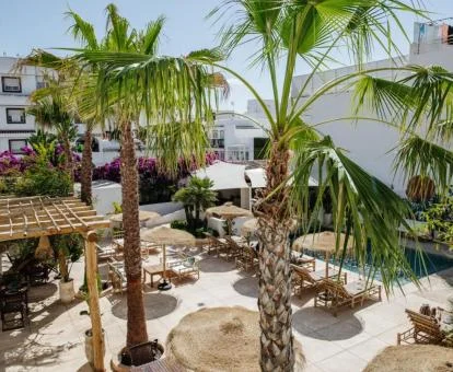 Coqueta zona exterior con palmeras, mobiliario y piscina de este hotel solo para adultos.