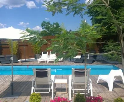 Coqueta piscina rodeada de jardines de este hotel con encanto.