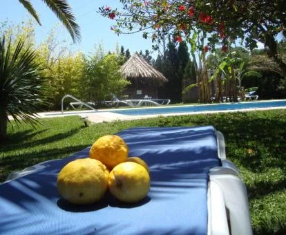 Zona exterior de este alojamiento rural con piscina al aire libre y bellos jardines.