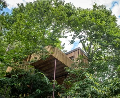Una de las preciosas cabañas en los árboles de este establecimiento, con jacuzzi privado y pasarela de acceso.
