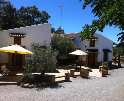Bungalows de este complejo rural ideal para disfrutar de la vida en el campo.