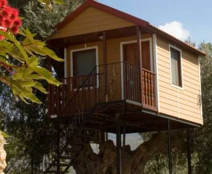 Preciosa cabaña sobre un olivo centenario de este camping.