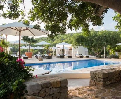 Agradable zona exterior con piscina y terraza de este fabuloso hotel boutique rodeado de naturaleza.