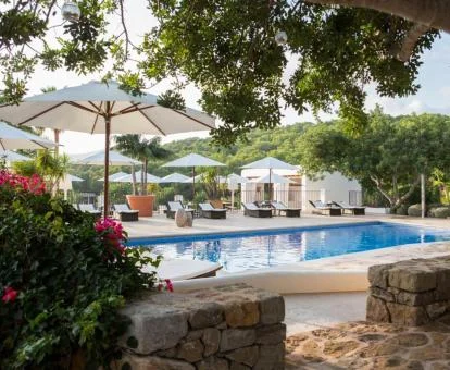 Preciosa zona exterior rodeada de jardines con piscina y zonas de estar.