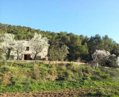 Coqueta masía rodeada de vegetación perfecta para disfrutar de la vida rural.