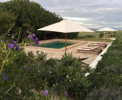 Agradable zona exterior ajardinada con piscina y vistas al campo de este hotel rural.