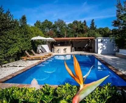 Agradable zona exterior con piscina rodeada de vegetación de este hotel boutique.