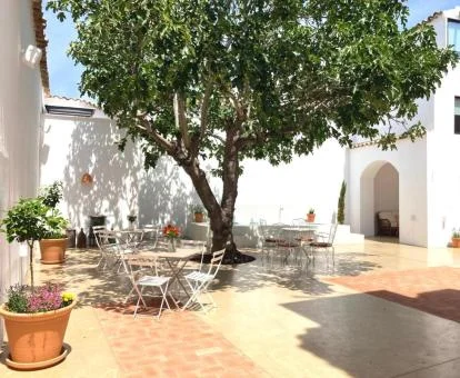 Acogedor patio con mobiliario de este coqueto hotel boutique.