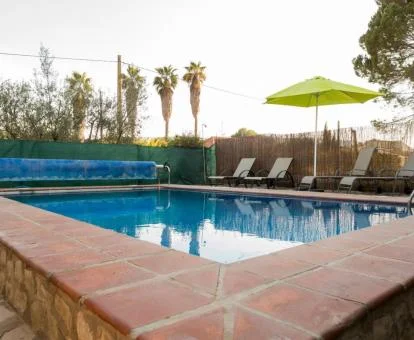 Piscina exterior rodeada de jardines con solarium y tumbonas de este hotel.