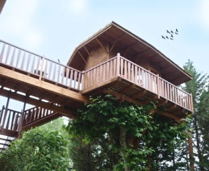 Preciosa casa árbol de este hotel rural.