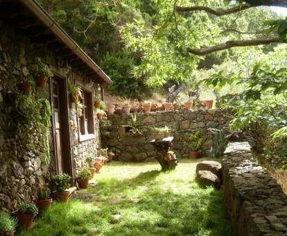 Hermosa casa rural de piedra rodeada de vegetación.