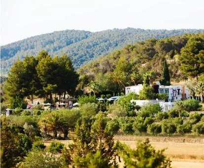Precioso agroturismo rodeado de vegetación en un tranquilo entorno rural para descansar.