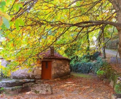 Uno de los preciosos chozos en la naturaleza de este establecimiento rural.