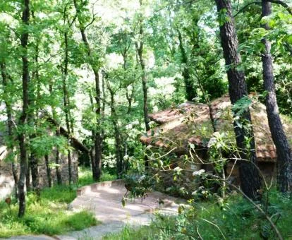 Casas de piedra independientes en medio del bosque de este alojamiento rural.