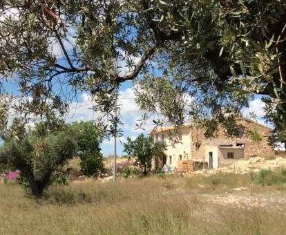 Hotel con encanto rodeado de naturaleza con amplias zonas exteriores.