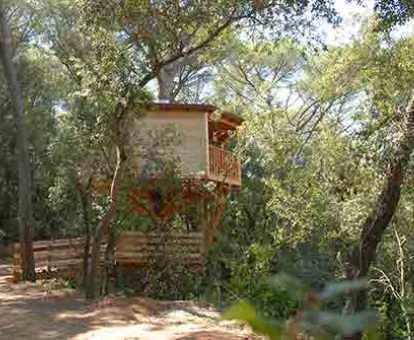 Cabaña Cep con puente de madera de este establecimiento ubicado en pleno bosque.