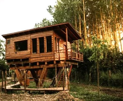 Espectacular cabaña de madera entre árboles rodeada de un entorno fabuloso para disfrutar en pareja.