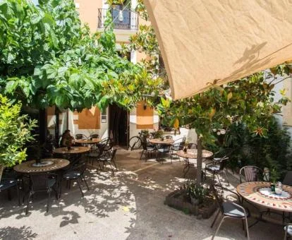 Agradable terraza con mobiliario y vegetación de este hotel boutique.