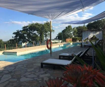 Agradable zona exterior con piscina, solarium y vistas a la naturaleza de este hotel boutique.