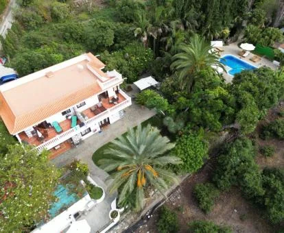 Vista aérea de este alojamiento rural con piscina rodeado de vegetación.