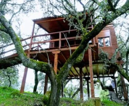 Preciosa casa árbol de este complejo turístico rural.