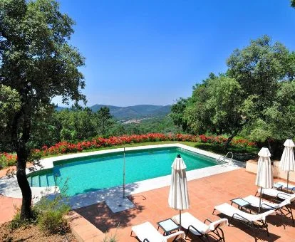 Zona exterior con piscina y solarium con vistas a la naturaleza que rodea el hotel.