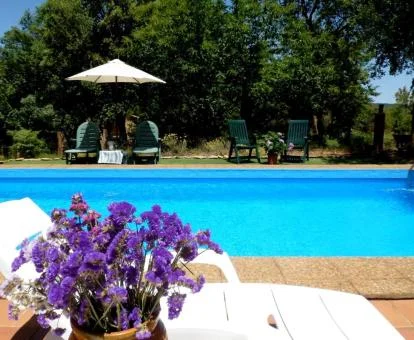 Piscina exterior rodeada de jardines y árboles de este establecimiento solo para adultos.