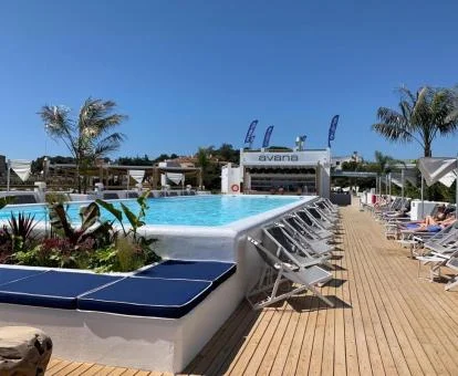 Gran piscina en la azotea del hotel con solarium y bar.