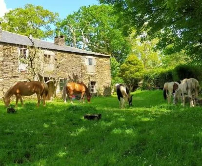 Edificio de este establecimiento rural con bellos jardines y los caballos de la granja.