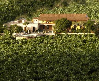 Hermoso edificio rodeado de plataneras de este hotel boutique rural.