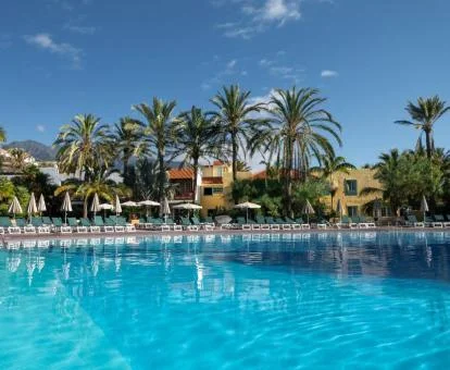 Amplia piscina rodeada de palmeras de este hotel con encanto.