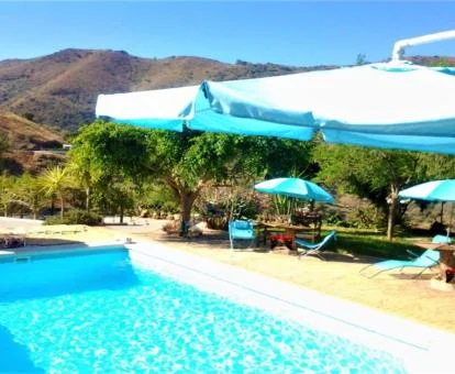 Preciosa piscina rodeada de vegetación de este hotel romántico.