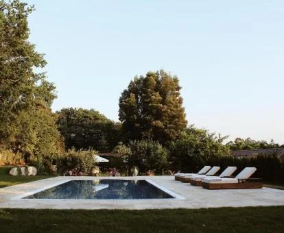 Agradable zona exterior con piscina rodeada de vegetación y tumbonas del hotel.