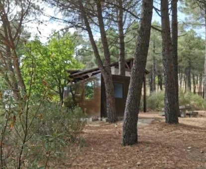 Uno de los coquetos bungalows independientes en medio de la naturaleza de este alojamiento perfecto para disfrutar del campo.