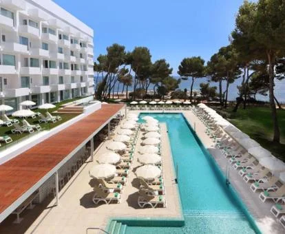 Piscina exterior con vistas al mar y rodeada de tumbonas y árboles de este hotel solo para adultos.
