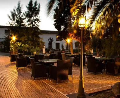 Zona exterior con vegetación y mobiliario e iluminación nocturna de este hotel boutique.