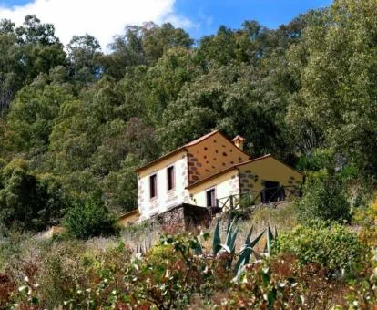 Acogedora casa rural independiente en medio del campo.