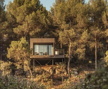 Foto de una amplia cabaña situada en los árboles con diseño moderno pero contruida en madera, y con una amplia terraza con vistas al bosque y a los viñedos que se encuentran enfrente.